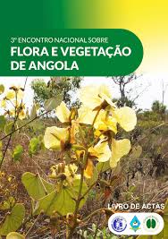 Image result for Crepidorhopalon schweinfurthii