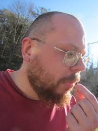 Bees gathering fungal spores from sawdust?