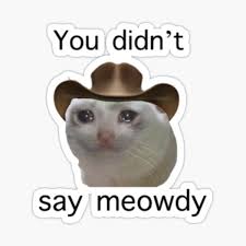 The (/ ð ə, ð iː / ()) is a grammatical article in english, denoting persons or things already mentioned, under discussion, implied or otherwise presumed familiar to listeners, readers or speakers. Sad Cowboy Cat Gifts Merchandise Redbubble