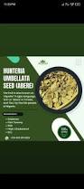 Image result for Hunteria umbellata