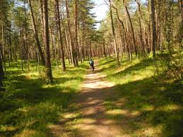 We would like to show you a description here but the site won't allow us. Radtour Durch Den Bialowieza Urwald In Natoura Reisen