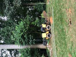 Check spelling or type a new query. Hydro Tech Irrigation Co Reviews Sterling Va Angi Angie S List