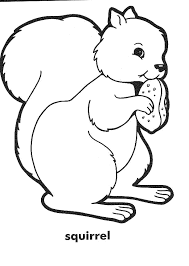 Squirrel Coloring Pages Pre K Activity Pages Alphabet Abc Pre K Coloring Ss1 Abc Pre K Squirrel Coloring Page Animal Coloring Pages Fall Coloring Pages