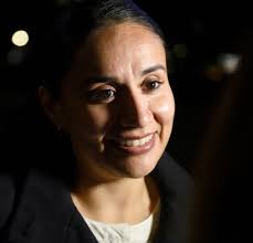 Santa Barbara Councilmembers to Seek Public Input