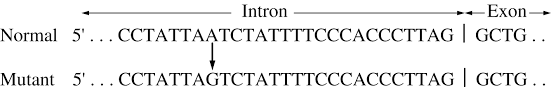 Which set of substances contains only molecules assembled from smaller organic compounds? Https Www Ets Org S Gre Pdf Practice Book Biology Pdf