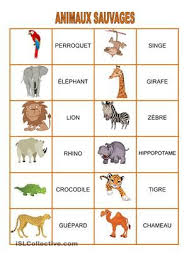 Jeu De Memoire Animaux Sauvages En 2021 Animaux Sauvages Animaux Coloriage A Colorier