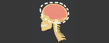 「"leave a reply"+"name"+"33"+"+"+"=" evolutionary」的圖片搜尋結果