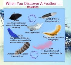 meanings of feathers black white pink blue feathers from