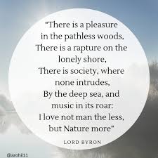 Arohii Arohii11 Twitter Poem Poetry Romanticism Lordbyron Quote Life Nature English Literature Quotes Romanticism Literature Courage Quotes