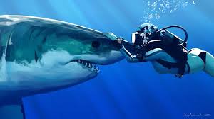 Best shark wallpapers in high quality, torri valadez, 553.5 free download shark wallpapers,.aey66. 2933776 1920x1080 Great White Shark Wallpaper Jpg 213 Kb Cool Wallpapers For Me