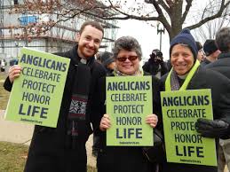 Anglicans Celebrate, Protect, and Honor Life
