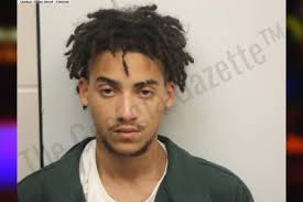 Gianni Mixon: https://thegeorgiagazette.com/chatham/gianni-mixon/