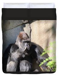 We did not find results for: Gorilla Giving The Middle Finger Duvet Cover For Sale By Stephen Isaacs