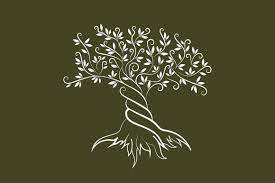 Vector Olive Tree Silhouette Tree Illustration Olive Tree Tattoos Tree Silhouette