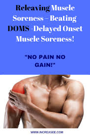 Pin On Bodybuilding Abc Guides