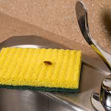 Local pest control near framingham , ma. F W Pest Control Framingham