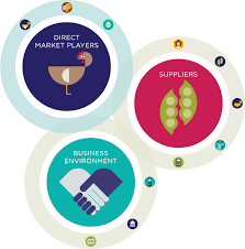 What Is A Market System Technoserve Business Solutions To Poverty