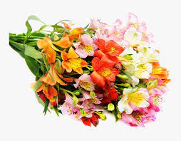 Maybe you would like to learn more about one of these? Flower Bouquet Cut Flowers Wedding Rose Beautiful Flowers Bouquet Images Hd Hd Png Download Kindpng
