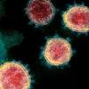 Story image for Coronavirus COVID-19 from CTV News