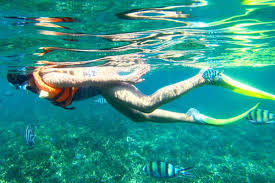 If you're wondering about things like the snorkeling tioman price 2021, you may well find that it is cheaper to go snorkelling with a local. Tioman Snorkeling For First Time Travellers New Guide 2019