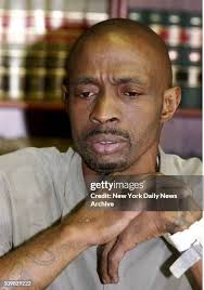 99 Alligator Al Stock Photos, High-Res Pictures, and Images