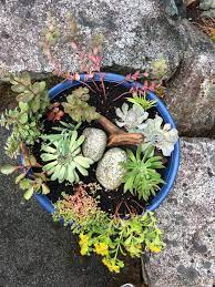 Succulents are definitely popular and trendy in gardening and decor at the moment. Diy Succulent Planter Ideas The Happy Housie