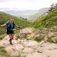 Knowledge Nights: Conquering the Montane Spine event image