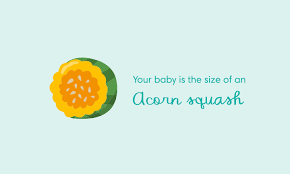 You are 25 weeks and 2 days pregnant. 25 Weeks Pregnant Symptoms And Baby Development Pampers