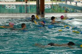 Yvelines A Versailles La Piscine De Satory Accueillera Ses Adherents Tout L Ete 78actu