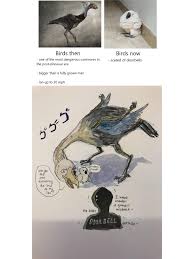 I Got Obsessed With The Birds From R Gatekeepingyuri Animal Memes Funny Relatable Memes Stupid Funny Memes