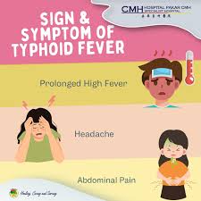 Image result for Typhoid Fever