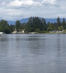 Mukilteo tree removal tree removal mukilteo, wa. Lake Stevens Washington Pest Control Northwest