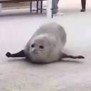 Profile Picture of Joe Seels - YouTubeon Google