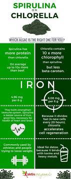 what is the difference between spirulina and chlorella spirulina chlorella holistic health