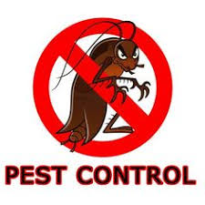 We have effectively been protecting homes and businesses for more than a decade. 7 Pest Control Logo Ideas Pest Control Pests Pest Control Logo