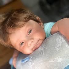 What landscaping companies know about planting privacy trees?