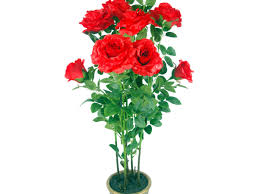 The planting of the rose tree is one of the most important steps. Artificial Potted Trees Plants Roses Coral Red Uk Gardens 1m 3ft Artificial Rose Tree In A Pot Home Kitchen Artificial Flora Cate Org