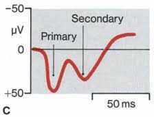 Image result for Higher Integrative Function
