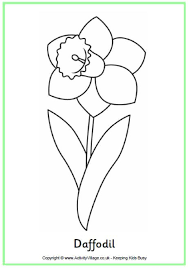 These flowers coloring pages printables will give your child a feeling of spring all year round. Daffodil Colouring Page Spring Coloring Pages Saint David S Day Flower Coloring Pages