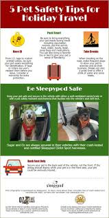 5 Pet Safety Tips For Holiday Travel Infographic Besleepypodsafe Pet Safety Travel Infographic Safety Tips