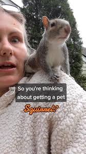 Squirrel in Philippines Pet Shop