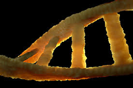 Vaccines actually are a legally defined term … under public health law … under cdc and fda standards, and a vaccine specifically has to stimulate both an. Will An Mrna Vaccine Alter My Dna Gavi The Vaccine Alliance