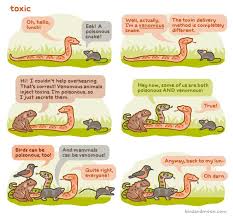 Venomous Vs Poisonous Explained With Adorable Talking Animals Rosemary Mosco S Webcomic Poisonous Snakes Venomous Animals Talking Animals