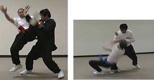 This method was created to give students a template toward understanding the primary basic keys to developing the art. Ba Gua Bagua Pakua Ba Kua Style Internal Martial Arts Chinese Taoist Martial Arts Association In Greater Chicago