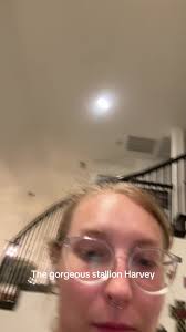 Massive Great Dane Sitting