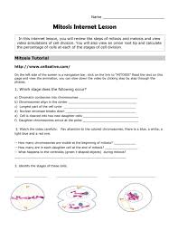 Simple worksheet reinforces concepts related to meiosis and sexual reproduction. Another Mitosis Animation