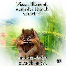 notitle lustig lustig notitle urlaub lustig urlaub zitate lustig spruche urlaub