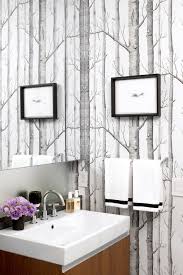 Black And White Birch Tree Wallpaper Surprising Birch Trees Decorating Ideas For Charming Bathroom Contemporary Design Idea Birch Tree Wallpaper Birch Tree Wallpaper Cole And Son Birches Wallpaper