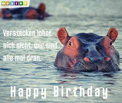 Lustige bilder zum geburtstag kostenlos. Geburtstagsbilder Tierisch Meyluu