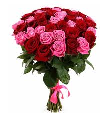 Check spelling or type a new query. Rose Bouquet Of 21 Roses Red And Pink Violet Lv